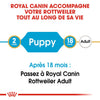 Royal Canin Rottweiler Puppy – Croquettes chiot 12 kg