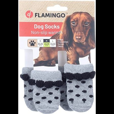 Chaussettes pour chien, taille M – La Passion Canine Maroc