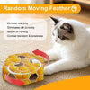 All For Paws Modern Cat Peek'A'Pounce – Jouet chat ruche