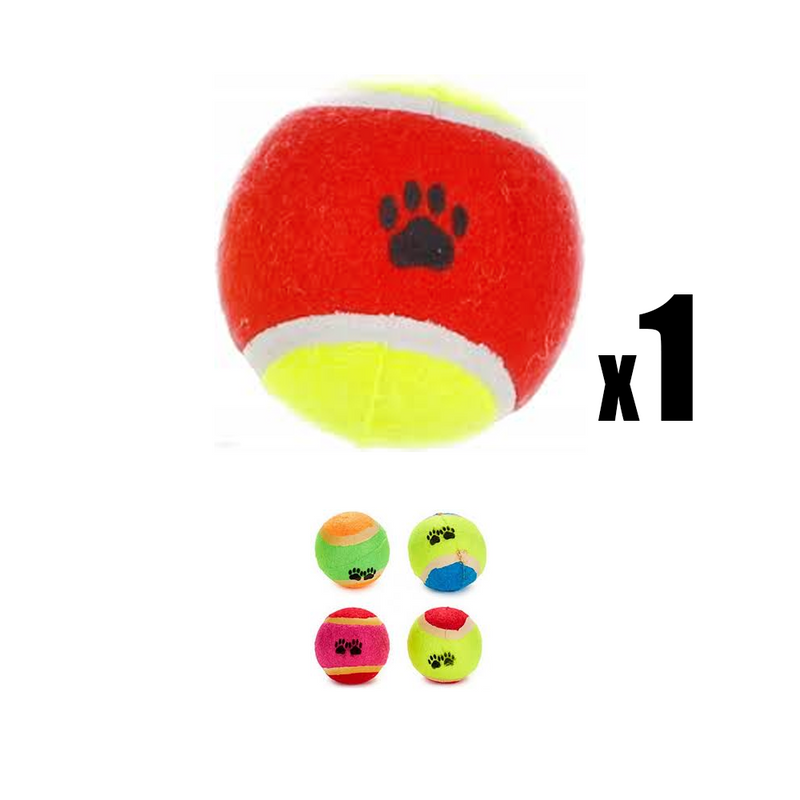 Mascow - Balle Pour Chien