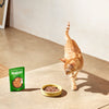 Natsbi – Aliment humide pour chat adulte à l'agneau 80 g