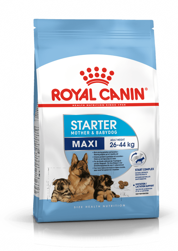 Royal Canin Maxi Starter Mother & Babydog – Croquettes chiot et mère 4 kg