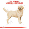 Royal Canin Labrador Retriever Adult – Croquettes chien adulte 12 kg