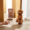 Gosbi Exclusive Puppy Mini – Croquettes chiot petite race 2 kg