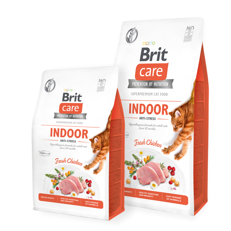 BRIT INDOOR 400G