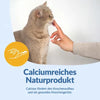 GimCat Lait pour chat sans lactose 200 ml