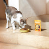 Natsbi – Repas pour chat poulet et œuf de caille 80 g