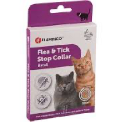 Collier antiparasitaire pour chat – La Passion Canine Maroc