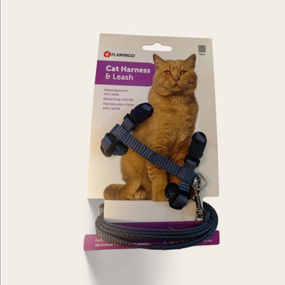 Harnais pour chat gris – La Passion Canine Maroc