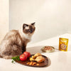 Natsbi – Aliment humide pour chat adulte au poulet 80 g