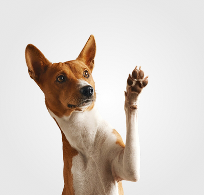 Bracelet en nylon bleu long dia 1,2 cm 200 cm 1 unit√©