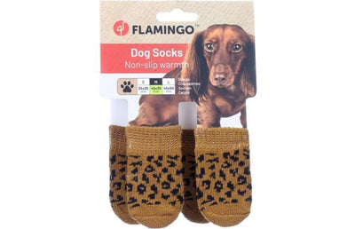 Chaussettes pour chien, taille M – La Passion Canine Maroc