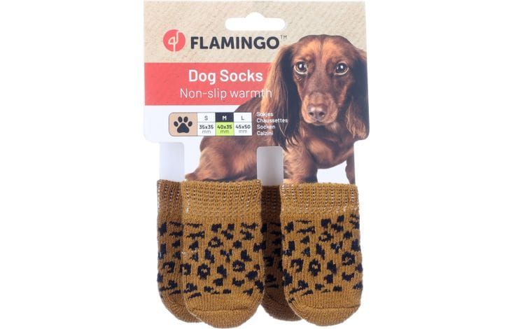 Chaussettes pour chien, taille M
