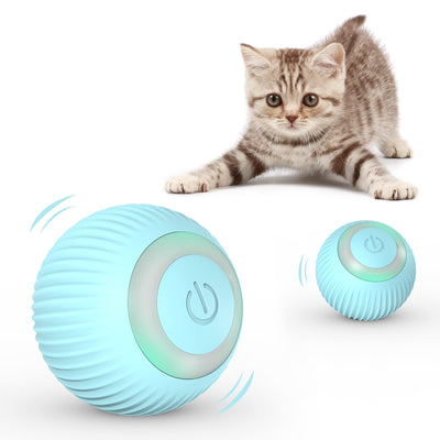 Jouet interactif rechargeable pour chat – La Passion Canine Maroc