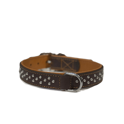COLLIER POUR CHIEN TAILLE M 31-39CM
