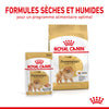 Royal Canin Spitz Nain – Pâtée en mousse chien adulte 85 g