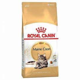 Royal Canin Maine Coon Adult – Croquettes chat 2 kg