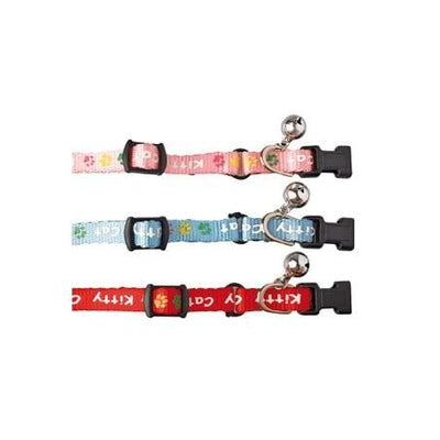 Collier pour chaton – La Passion Canine Maroc