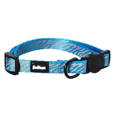 Collier pour chat – La Passion Canine Maroc