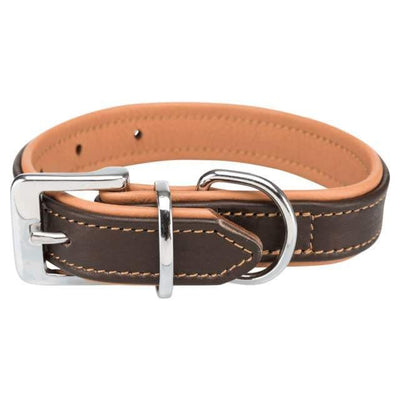 Collier en cuir marron pour chien taille L – La Passion Canine Maroc