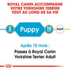 Royal Canin Yorkshire Terrier Puppy – Croquettes chiot 1,5 kg