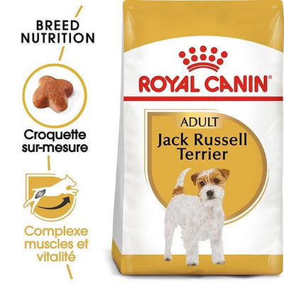 Royal Canin Jack Russell Adult – Croquettes chien adulte 3 kg – La Passion Canine Maroc
