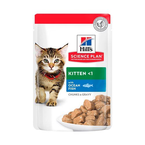 Hills PaÃÇteÃÅe Kitten Ocean Fish 85g
