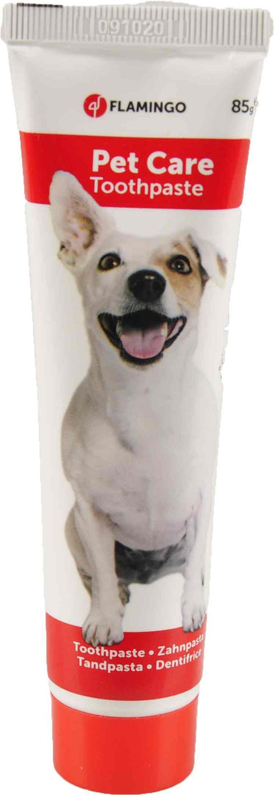 Flamingo Dentifrice de chien, 85g
