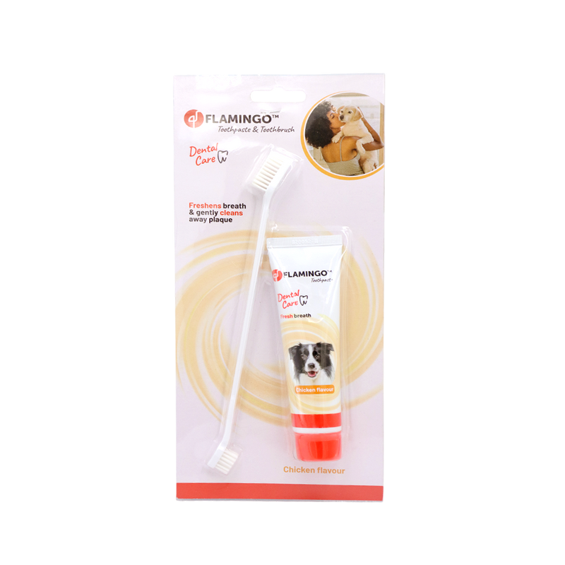 Flamingo – Kit dentifrice au poulet et brosse pour chien 85 g