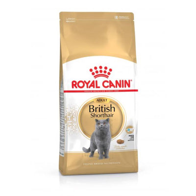 Royal Canin British Shorthair Adult – Croquettes chat 2 kg – La Passion Canine Maroc