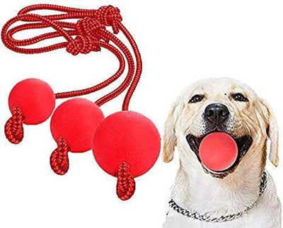 Jouets pour Chien avec Corde de Balle (x1 Ball)