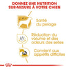 Royal Canin Bichon Maltais Adult – Croquettes chien adulte 1,5 kg