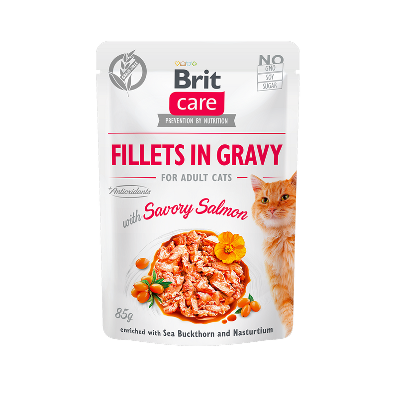 BRIT POUR CHAT ADULT AU SAUMON 85G