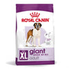 Royal Canin Giant Adult – Croquettes chien race géante 15 kg