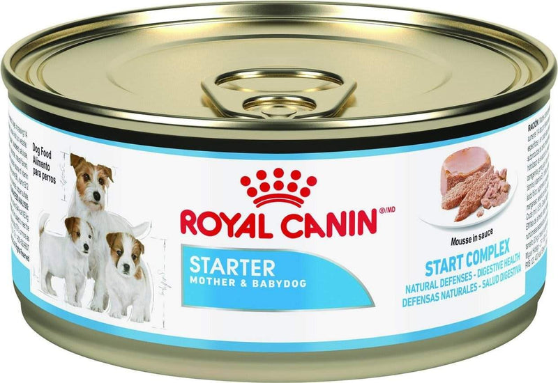 STARTER MOTHER & BABYDOG mousse ultra douce