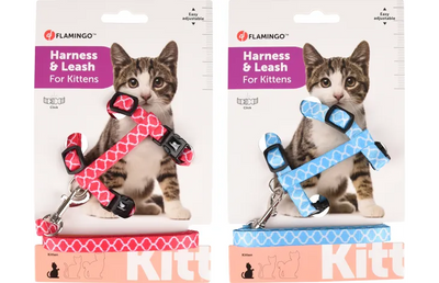 Flamingo Amsi – Harnais avec laisse pour chaton coloris assortis – La Passion Canine Maroc