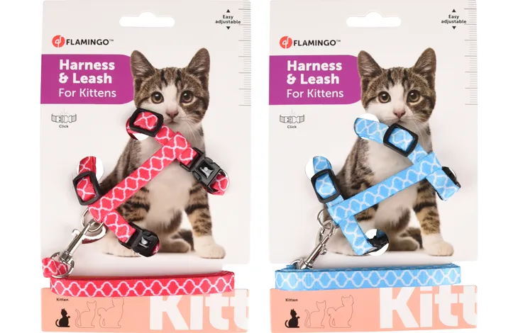 Flamingo Amsi – Harnais avec laisse pour chaton coloris assortis