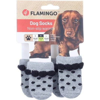 Chaussettes pour chien grises, taille M – La Passion Canine Maroc