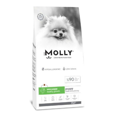 Molly mini puppy hyppoallergenic 2kg