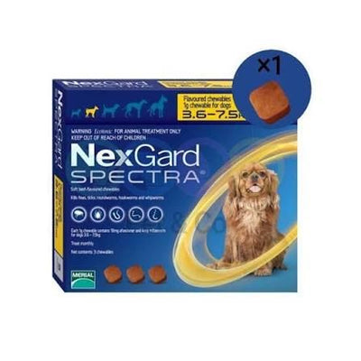 NexGard Spectra – Comprimé antiparasitaire chien 3,5-7,5 kg (x1) – La Passion Canine Maroc