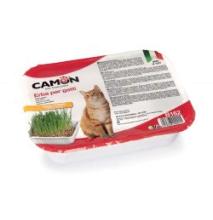Camon – Barquette d'herbe à chat