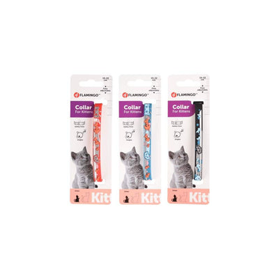 Collier pour chaton – La Passion Canine Maroc