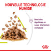 Royal Canin Sensory Smell – Pâtée chat adulte 85 g