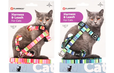 Flamingo Amira – Harnais avec laisse pour chat coloris assortis – La Passion Canine Maroc