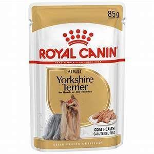 Royal Canin Yorkshire Terrier Adult – Pâtée chien 85 g