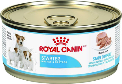 Royal Canin Starter Mousse – Pâtée chiot et chienne 195 g – La Passion Canine Maroc