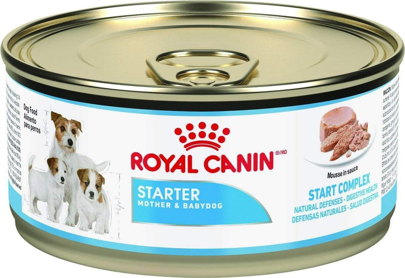 Royal Canin Starter Mousse – Pâtée chiot et chienne 195 g