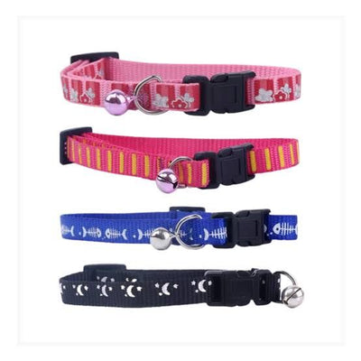 Collier pour chat – La Passion Canine Maroc