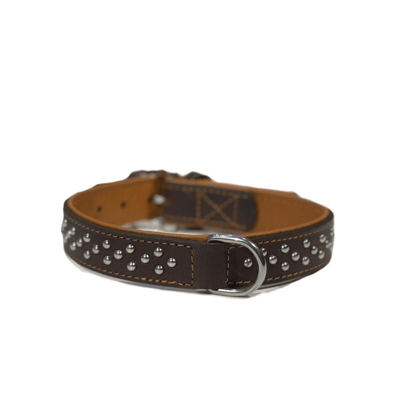 COLLIER POUR CHIEN TAILLE S-M 30-36CM