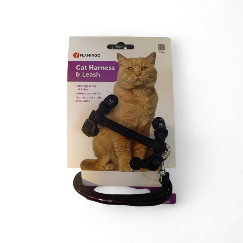 Harnais pour chat noir